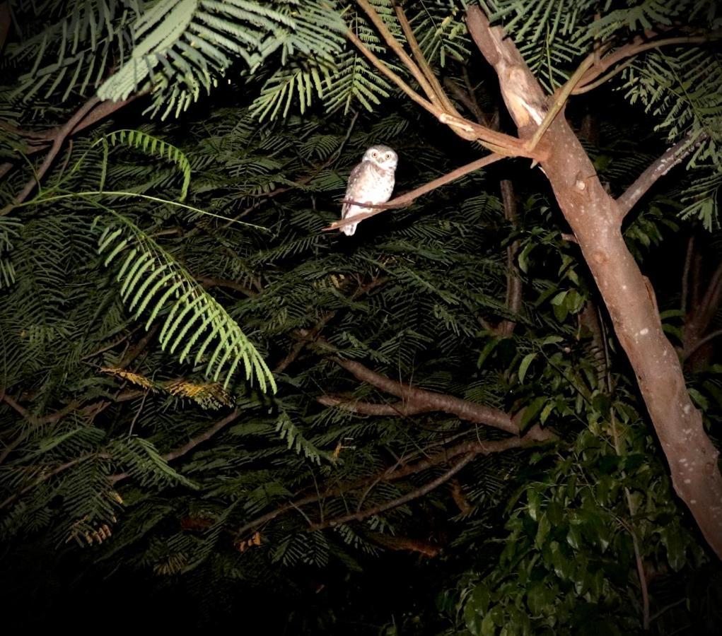 Вилла Alampat Nest Tehla Экстерьер фото